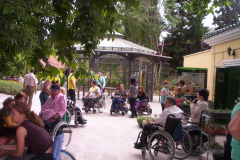 jardin-botanico-de-malaga-020